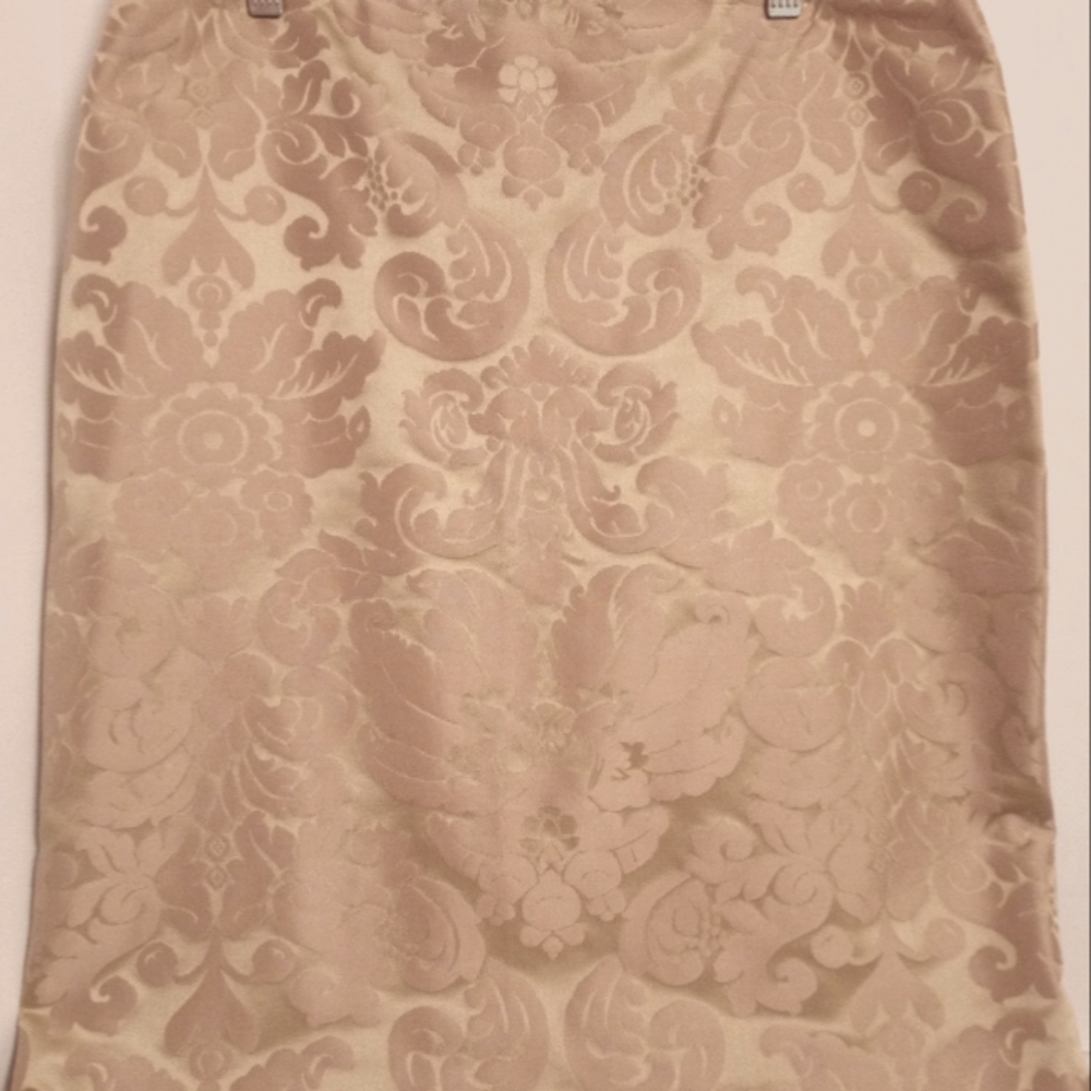 (NWT) ELLEN Champagne/Pink Skirt (12)